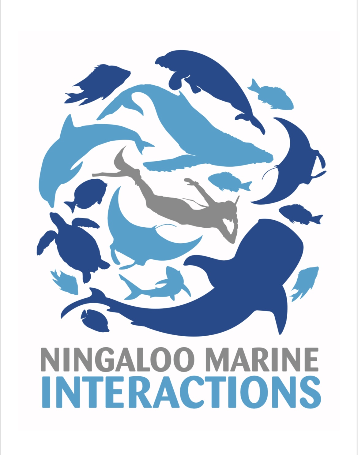 Ningaloo Marine Interactions