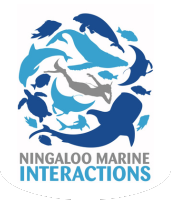 Ningaloo Marine Interactions